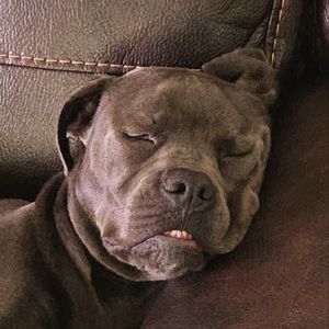 Meet your Posher, Michelle